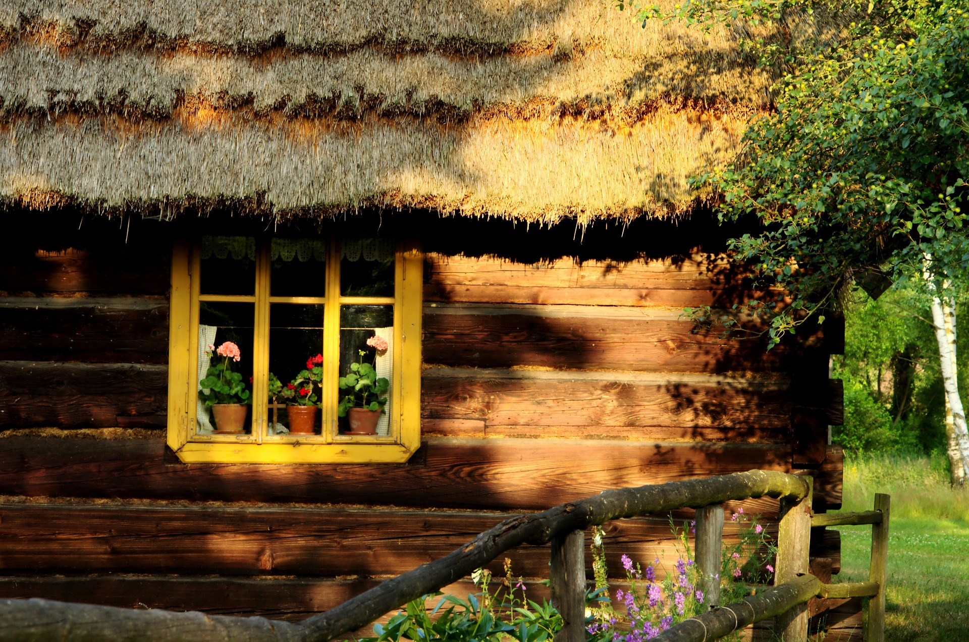 fragment chaty drewnianej chaty wiejskiej, ze słomianym dachem; w oknie doniczki z czerwoną i różowymi pelargoniami, po prawej stronie fragment drewnianego płotu, pod którym rosną kwiaty i brzoza